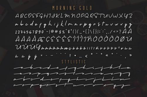 Morning Gold Script Font