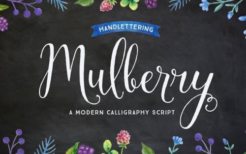 Mulberry Script Font