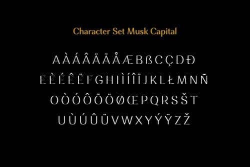 Musk Sans Serif Typeface Font
