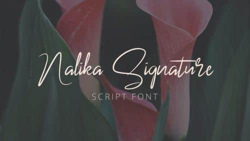 Nalika Signature Font