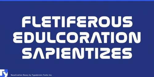 Nasalization Font