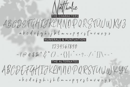 Natthalie Signature Font