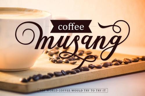 Natural Script Font