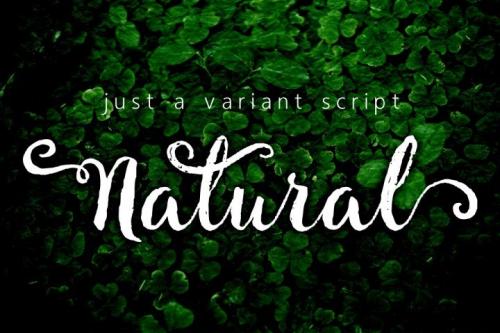 Natural Script Font Free