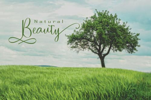 Nature Calligraphy Font