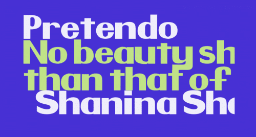 Nintendo Pretendo Font