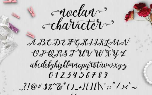 Noelan Script Font
