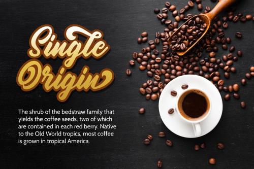 Oatlander Bold Script Font