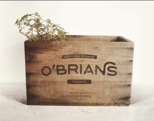 Old Growth Font