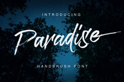 Paradise Brush Font