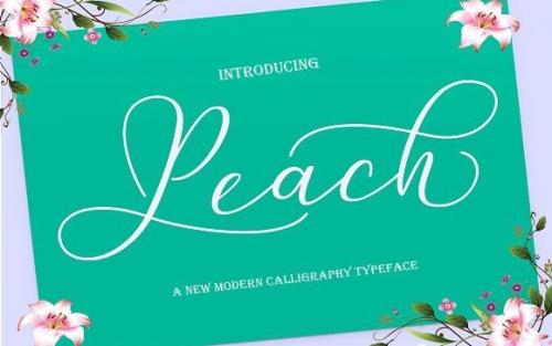 Peach Script Font