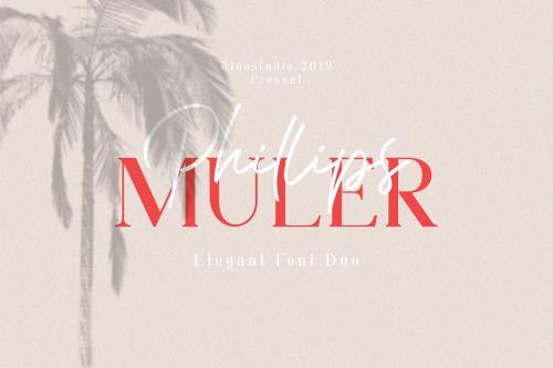 Phillips Muler Font Duo