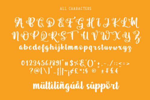 Pictagram Font