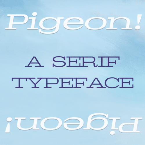 Pigeon Font Family Is This A Pigeon Font