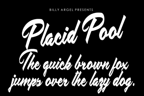 Placid Pool Brush Font
