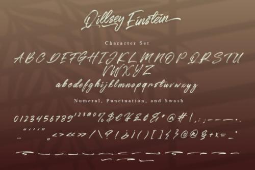 Qillsey Einstein Script Font