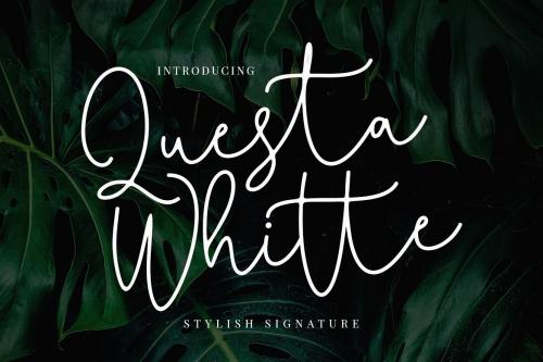 Questa Whitte Signature Font