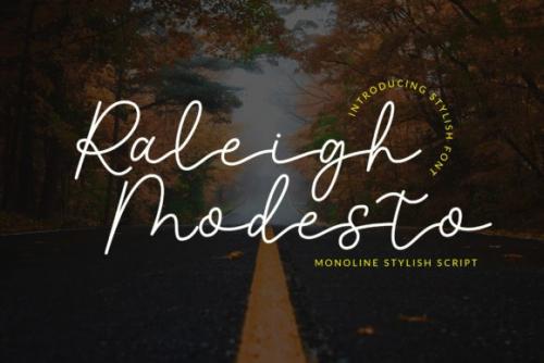 Raleigh Modesto Handwritten Font