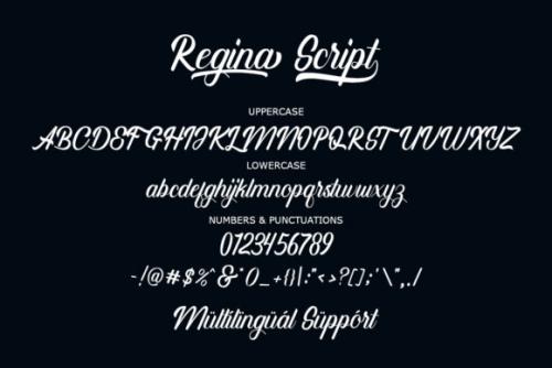 Regina Calligraphy Font