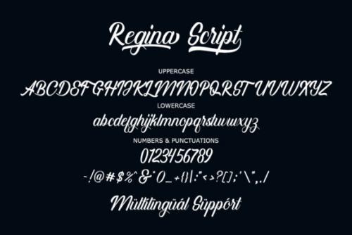 Regina Calligraphy Font