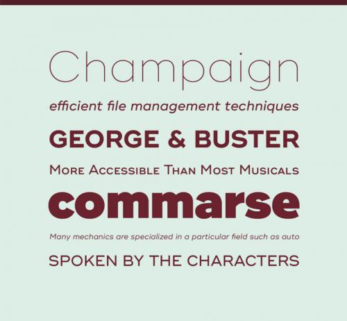 Ridley Grotesk Font