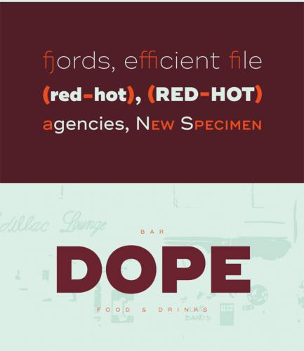 Ridley Grotesk Font