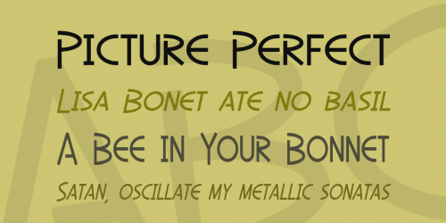 SF Diego Sans Font Family