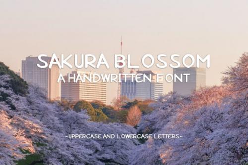 Sakura Blossom Display Font