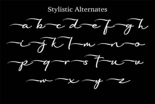 Scott Walker Handwritten Font