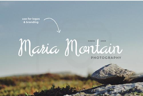Serendipity Script Font