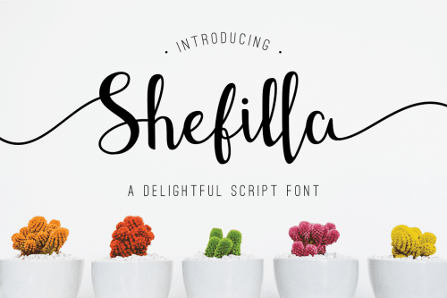 Shefilla Script Font Free Download