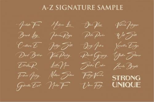 Signatrue Elegant Signature Font
