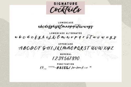 Signature Cocktails Font Duo Font