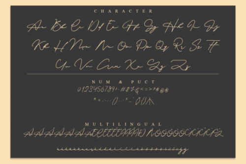 Signature Collection Handwritten Font