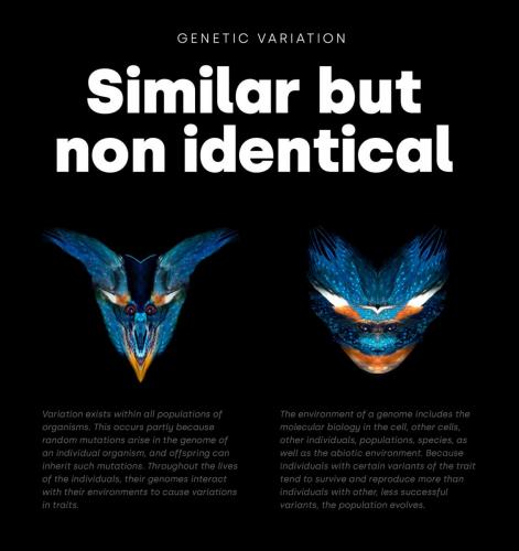 Silka Geometric Font