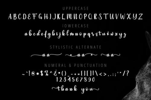 Simple Calligraphy Font
