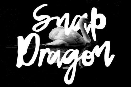 Snap Dragon Script Font