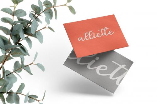 Sofia Script Font