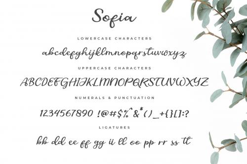 Sofia Script Font