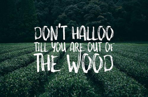 Something Wild Font