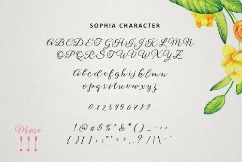 Sophia Script Font