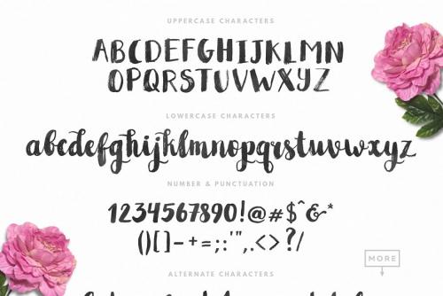 Sparkles Script Font