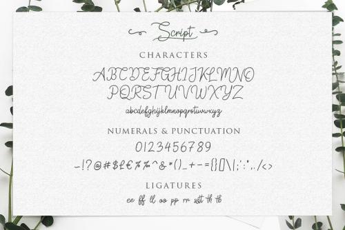 Springfield Font