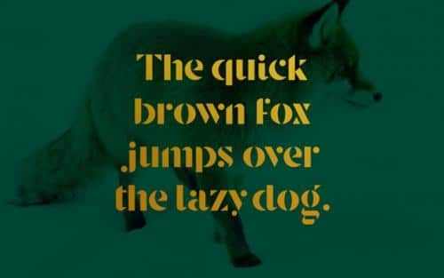 Stanley Display Typeface Font