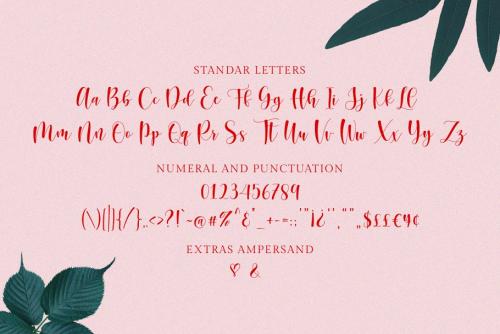 Sunberry Script Font