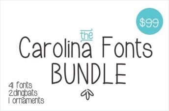 The Carolina Fonts Bundle