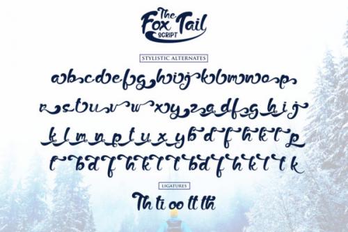 The Fox Tail Script Font
