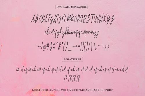 The Hand Style Script Font