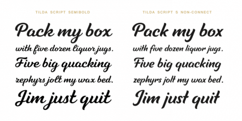 Tilda Script Font