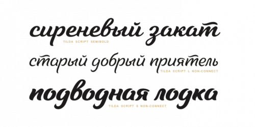 Tilda Script Font